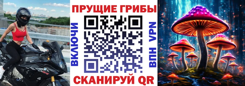 ОМГ ОМГ сайт  Губкин  Псилоцибиновые грибы Cubensis 