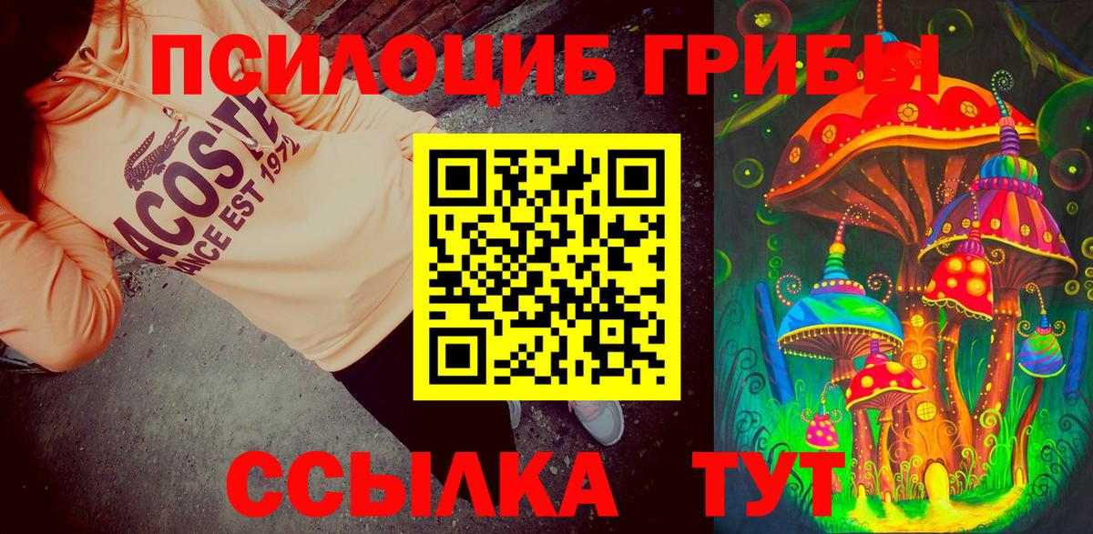 Губкин  Галлюциногенные грибы GOLDEN TEACHER  Вход с VPN 