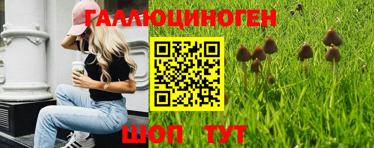Псилоцибиновые грибы мухоморы Губкин